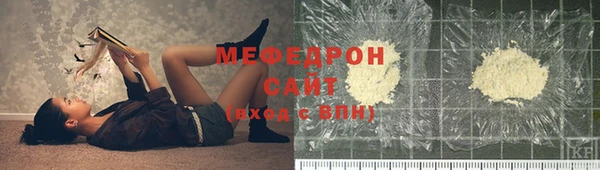 индика Арсеньев
