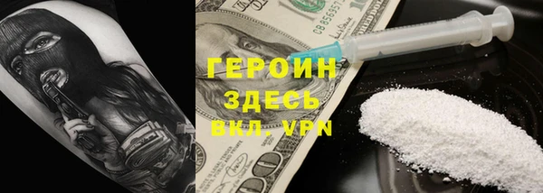 индика Арсеньев