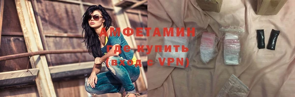 индика Арсеньев