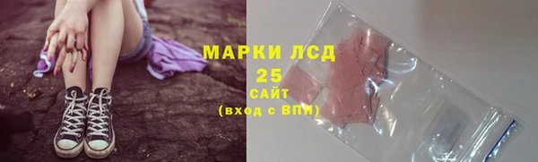 индика Арсеньев