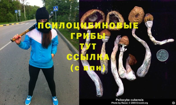 герыч Армянск