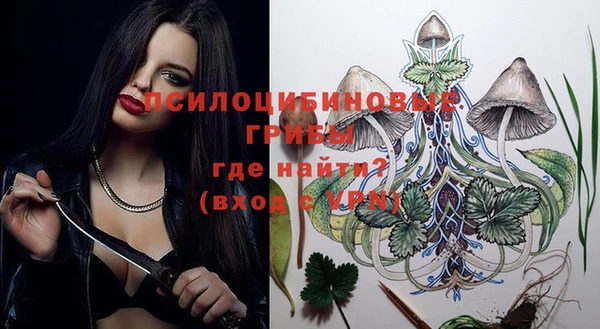 индика Арсеньев