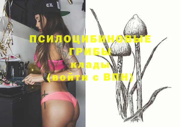индика Арсеньев