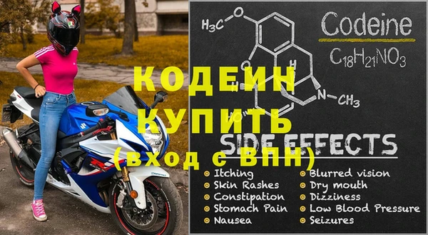 индика Арсеньев