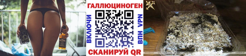 магазин продажи наркотиков  Приозерск  Псилоцибиновые грибы GOLDEN TEACHER 